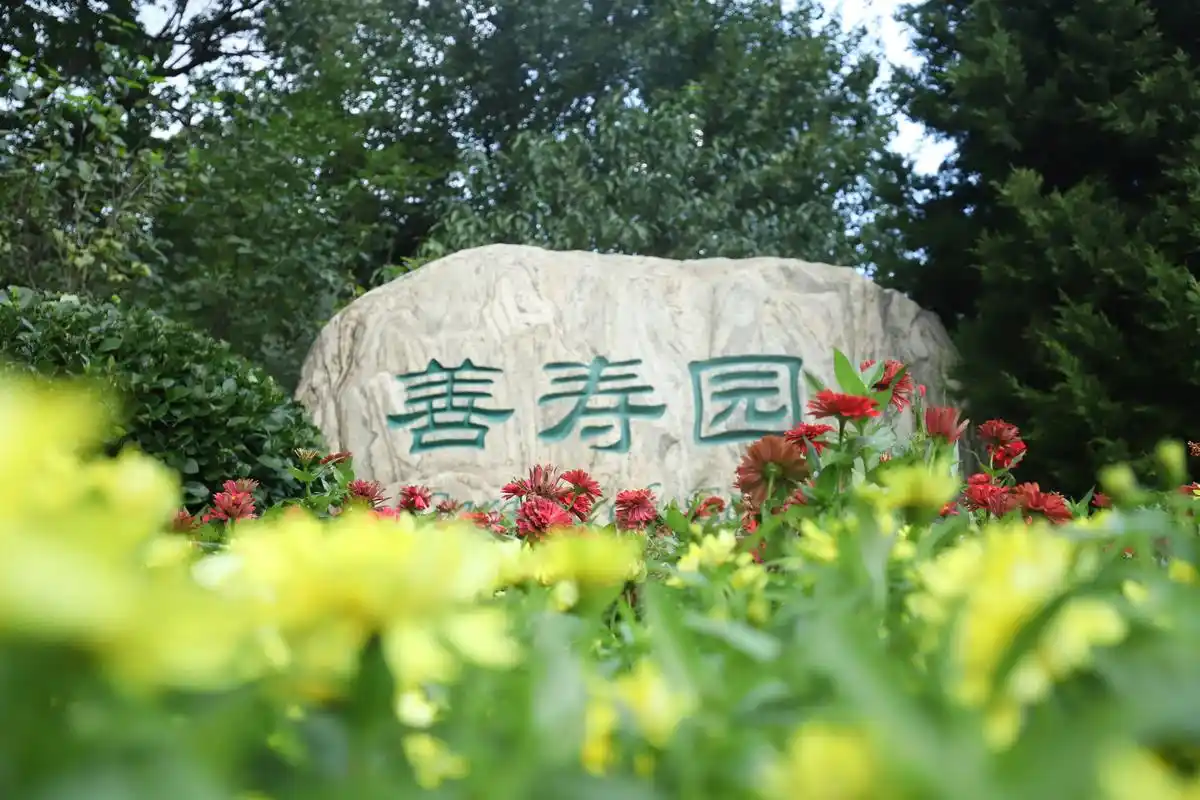 九公山纪念林的生物多样性保护创新实践 - 北京九公山陵园