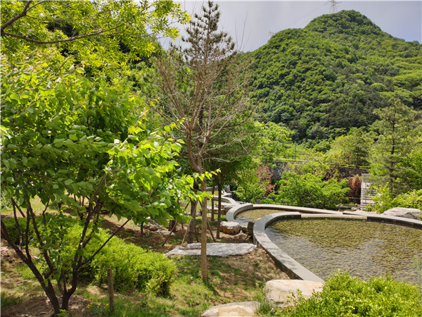 九公山公墓,数字祭奠,殡葬仪式,线上祭祀,宗族祭祀